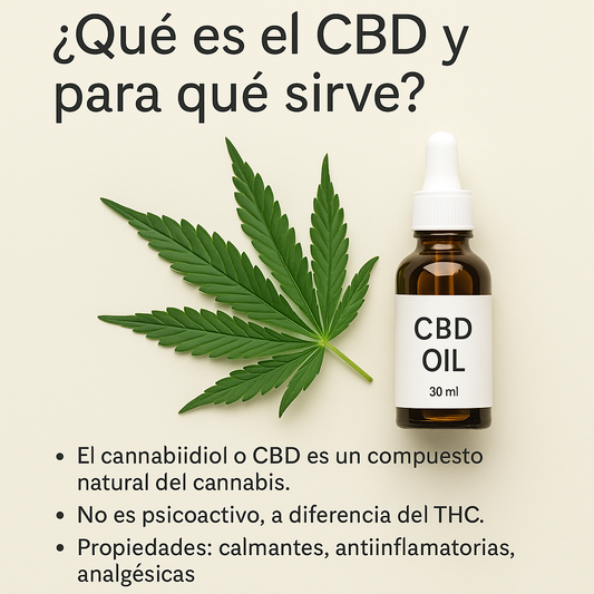 ¿Qué es el CBD y para qué sirve? [Guía 2025]