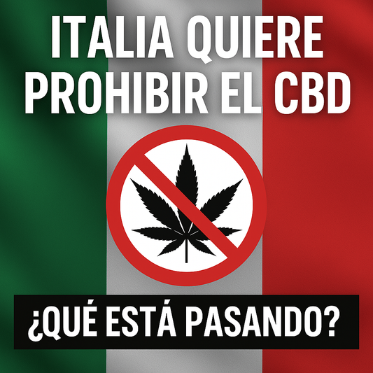 Italia Quiere Prohibir el CBD: ¿Qué Está Pasando y Cómo Afecta a Europa?